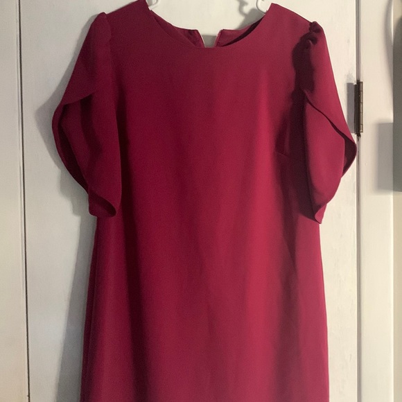 Beautiful zip back dress - Picture 1 of 5